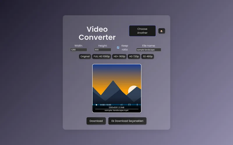 The video converter